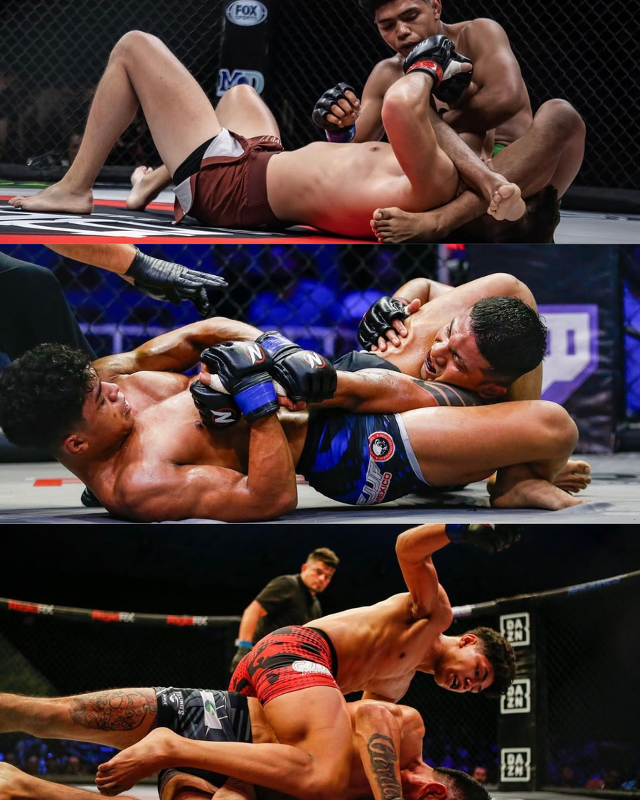 Fight Life Collection